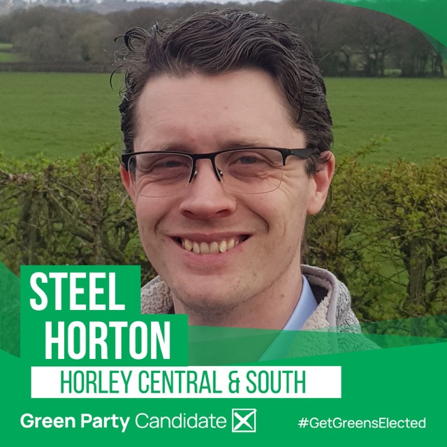 Picture Steel Horton, Horley Central & South